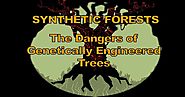 "Synthetic Forests" Covers the Enormous Risks of GE Trees