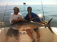 Venice Fishing Charters for Tuna | Champion Charters