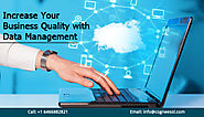 Increase Your Business Quality with Data Management