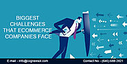 Biggest Challenges that eCommerce Companies Face