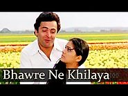 Bhanwre Ne Khilaya Phool - Rishi Kapoor - Padmini Kolhapure - Prem Rog - Bollywood Classic Songs HD