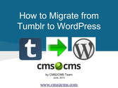 How to Migrate from Tumblr to WordPress