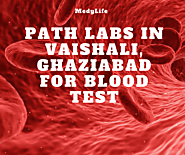 Path Labs in Vaishali, Ghaziabad for Blood Test - Medy Life
