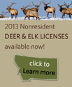 Montana Fish, Wildlife & Parks :: Hunting