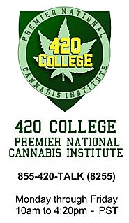 420 College Seminar