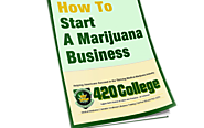 Medical Cannabis Business Permits