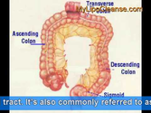 Colon Cleansing The Natural Way