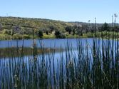 The Unity Center- Stallion Oaks Ranch