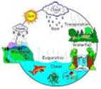 Water Cycle - The Water Cycle Song