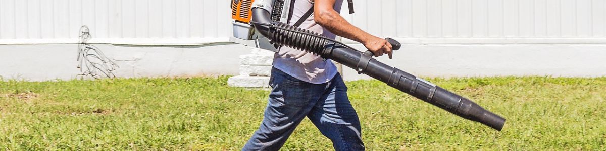 Headline for Top 10 Best Electric Leaf Blower of 2017
