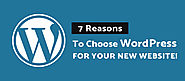 7 Reasons to Choose WordPress for Your New Website!