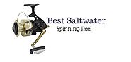 Best Saltwater Spinning Reel Review - Offshore, Inshore & Surf Fishing