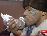 Mike Tyson Conspiracy -- The Government's Killing Our Pigeons!