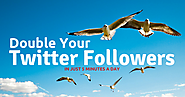 How to Increase Twitter Followers?