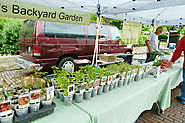 We bought lots of herbs.