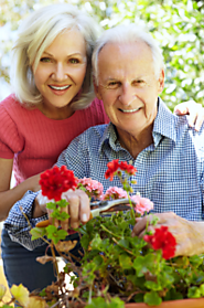 Gardening – A Therapeutic Activity for Older Individuals