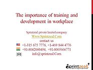 Corporate Training And Its Importance