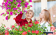 6 Reasons Why Gardening Is Good for Seniors