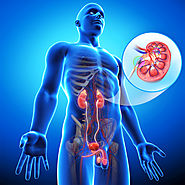 Take Care of Your Kidneys in 5 Ways