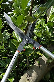 Garden Pruning and Cutting Tools