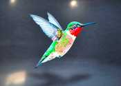 Google Recently Made A Silent Shift To A New Search Algorithm, "Hummingbird"