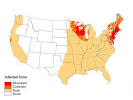 Lyme Disease Zone