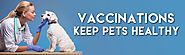 Importance of Pet Vaccination Services – Linda Hudson – Medium