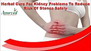 Herbal Cure For Kidney Problems To Reduce Risk Of Stones Safely