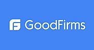 Review and rating of 5ine Web Solutions Pvt ltd - GoodFirms