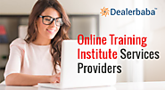 Website at https://dealerbaba.com/suppliers/information-technology-services/it-training-institute