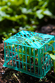 50 Garden Hacks From Your Trash