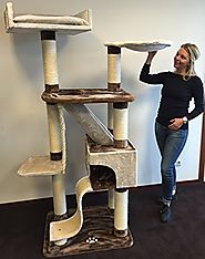 Kilimanjaro Cat Tree PLUS (Brown / Beige)