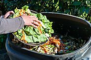 Tips to Make Your Own Organic Compost