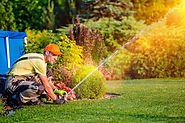 Best Lawn Sprinklers Reviews : You Should Consider For Your Lawn