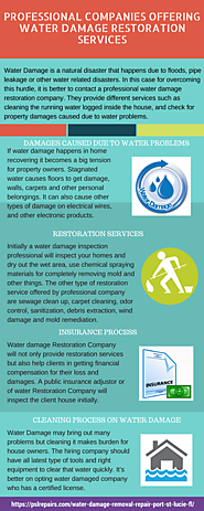 Professional Companies Offering Water Damage Restoration Services