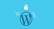 5 Steps To Successfully Launch A WordPress-based E-Commerce Store | Blog