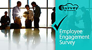 Online Survey software, easy survey creator for business organization