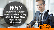 Online Survey software, easy survey creator for business organization