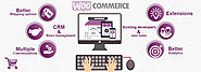 8 Reasons Why Choose Woocommerce for eCommerce Website Development