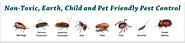 Pest Control Noida : Your Local Pest and Termite Control Expert in Noida, Indirapuram, Ghaziabad, Greater Noida.Call ...