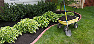 Landscaping Plants and Garden Maintenance Services in Toronto