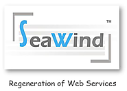 Website Development Company in Ahmedabad, Gujarat, India