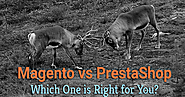 Magento vs PrestaShop: Which One is Right for You?