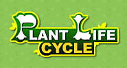 Life Cycle of Plants Game - Plant Game