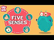 The Five Senses | The Dr. Binocs Show | Educational Videos For Kids