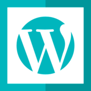 Wordpress Development Services - Wordpress Development Company in India