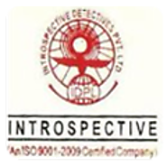 Introspective Detectives Private Limited