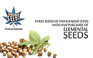 Cannabis Seeds Online, Legal | Seeds Ganja - Sensible Seeds Premium