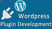 Wordpress Website and Plugin Development Services