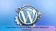 3 Easy Steps To Set Up Multiple Domain Mapping In WordPress